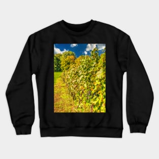 Vineyard-autumn painting, oil painting, nature Crewneck Sweatshirt